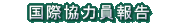 Kokusaikyouryokuin